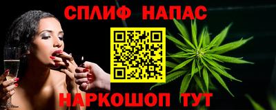 спиды Гусев