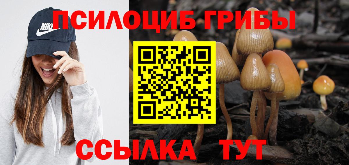 Галлюциногенные грибы мицелий Ликино-Дулёво