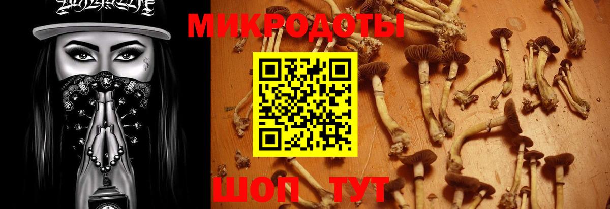 Ликино-Дулёво  Псилоцибиновые грибы Cubensis  Псилоцибиновые грибы Psilocybe  Вход с VPN 
